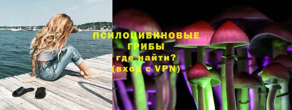 ГАЛЛЮЦИНОГЕННЫЕ ГРИБЫ Армянск
