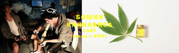 эйфоретик Арсеньев