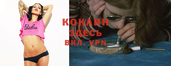 эйфоретик Арсеньев