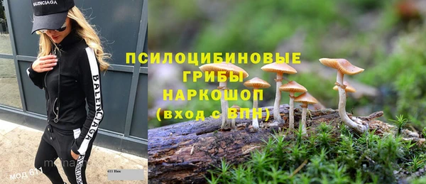 ГАЛЛЮЦИНОГЕННЫЕ ГРИБЫ Армянск