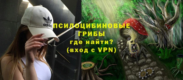 ГАЛЛЮЦИНОГЕННЫЕ ГРИБЫ Армянск