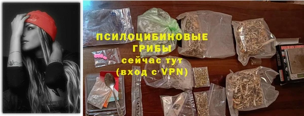 эйфоретик Арсеньев
